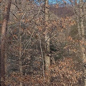 Meet your Posher, Amelia